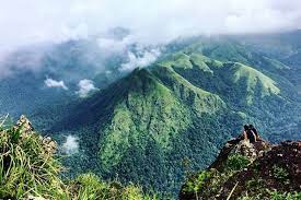 Coffeecadu estate stay